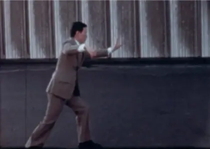 Master Moy Lin Shin Practicing Tai Chi