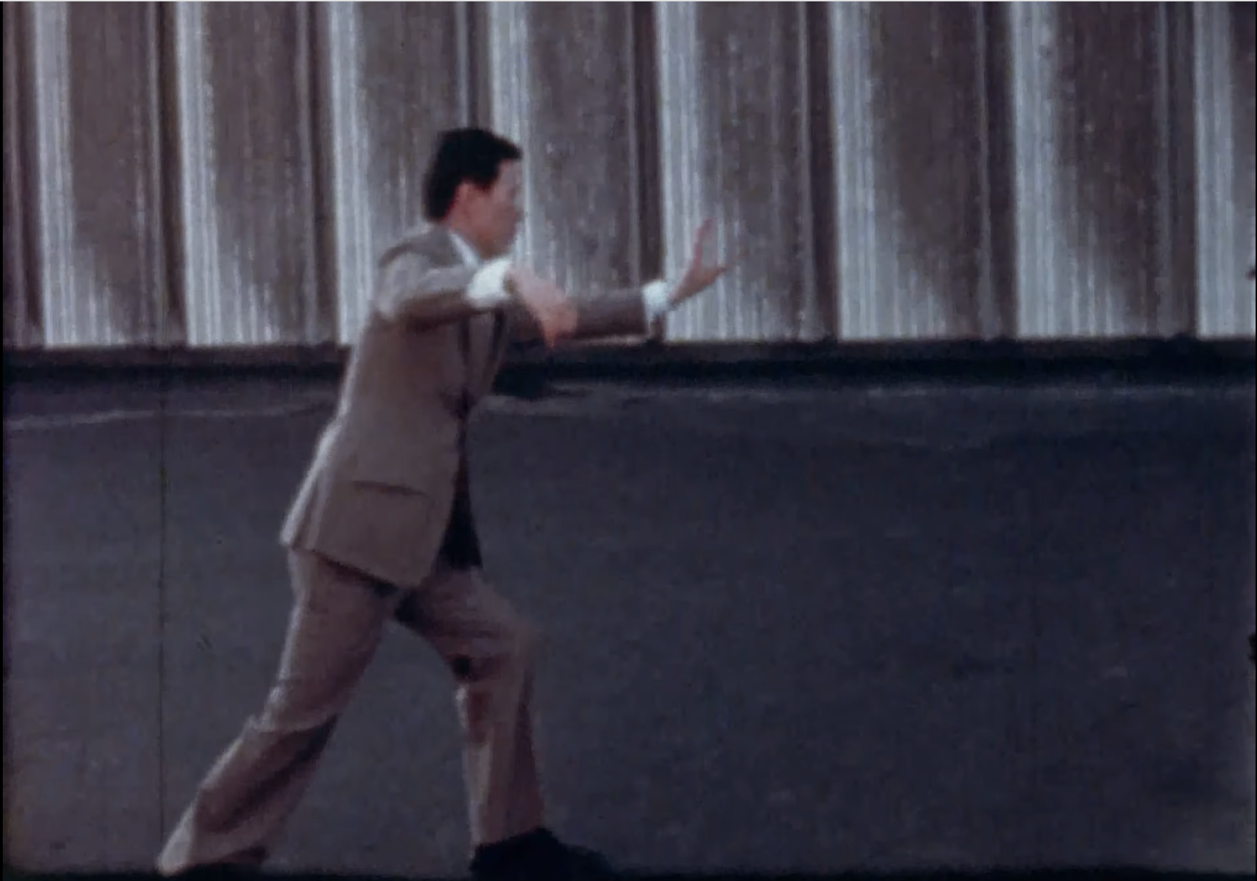 Master Moy Lin Shin Practicing Tai Chi